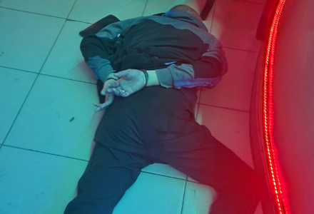 Пистолет изъят, доберман спасён, нарушения пресечены!